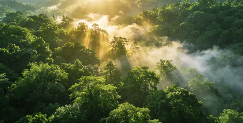 崇左肺癌靶向120基因检测及PDL122C3表达检测套餐（组织）图片1