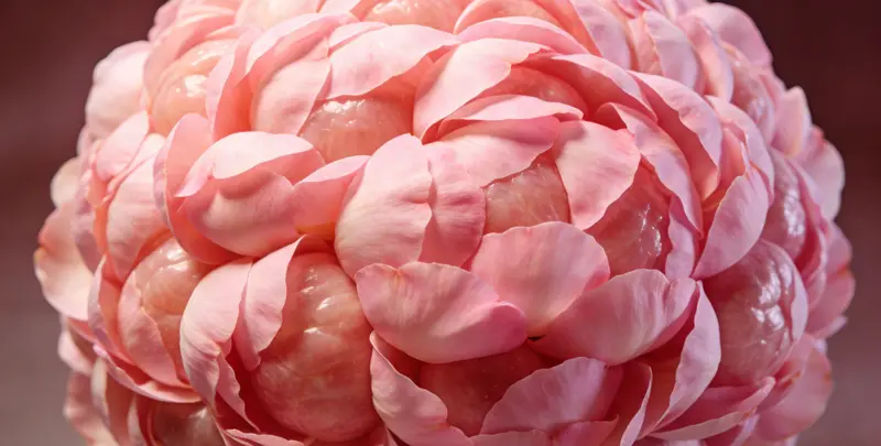 崇左BRCA1/2乳腺癌卵巢癌基因检测图片1